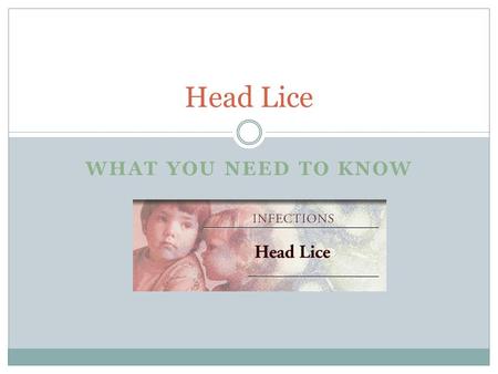 Head Lice What you need to know.