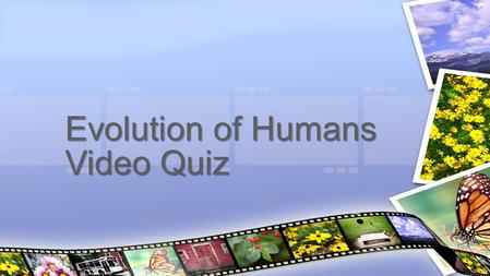 Evolution of Humans Video Quiz. How do sharks “see” their prey? Why do Hammerhead sharks have a hunting advantage? What does the Mimic Octopus mimic?