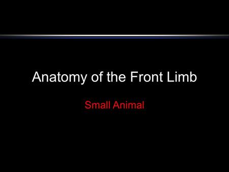 Anatomy of the Front Limb Small Animal. Anatomy of the Front Leg Scapula.