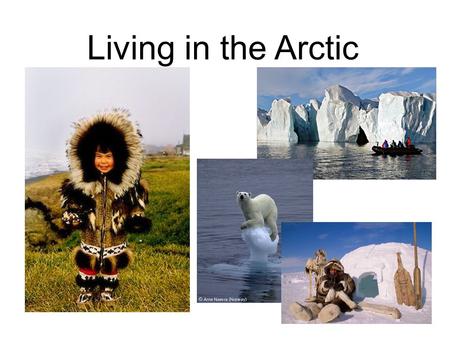 Living in the Arctic.