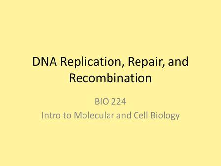 DNA Replication, Repair, and Recombination BIO 224 Intro to Molecular and Cell Biology.