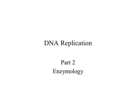 DNA Replication Part 2 Enzymology. Figure 11.10 The Polymerization Reaction.