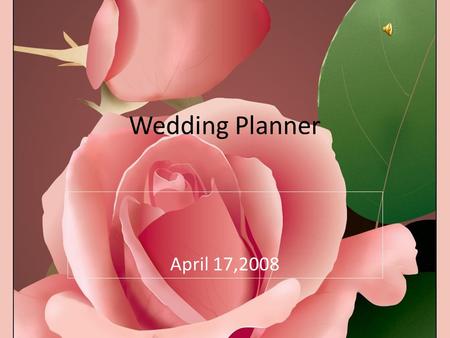 April 17,2008 Wedding Planner. Description The wedding planner takes care of all the bride’s needs before, during and immediately after the wedding. The.