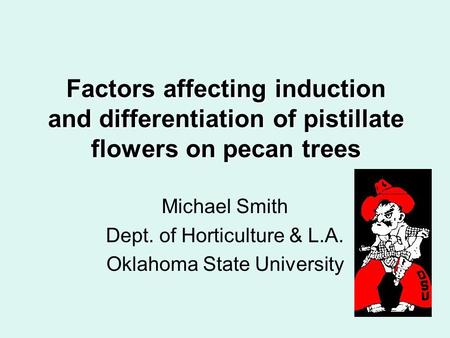 Factors affecting induction and differentiation of pistillate flowers on pecan trees Michael Smith Dept. of Horticulture & L.A. Oklahoma State University.