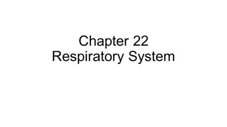 Chapter 22 Respiratory System. Function of the Respiratory System Supply the body with oxygen and dispose of carbon dioxide.