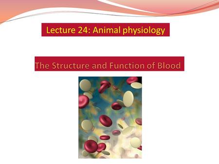 introduction to hematology powerpoint presentation