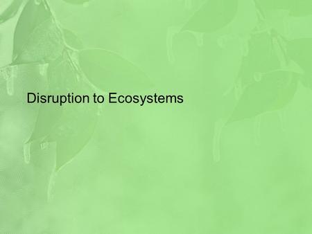 Disruption to Ecosystems. Energy And Nutrients Energy and nutrient flows are fundamental to an ecosystem functioning properly Nutrient Cycle – the feedback.