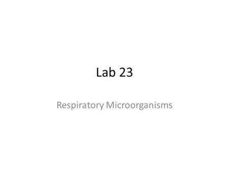 Lab 23 Respiratory Microorganisms. Objectives Interpret hemolysis results Classify various Streptococcus species.