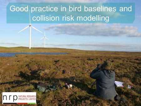 Good practice in bird baselines and collision risk modelling.
