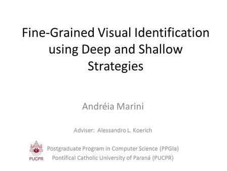 Fine-Grained Visual Identification using Deep and Shallow Strategies Andréia Marini Adviser: Alessandro L. Koerich Postgraduate Program in Computer Science.