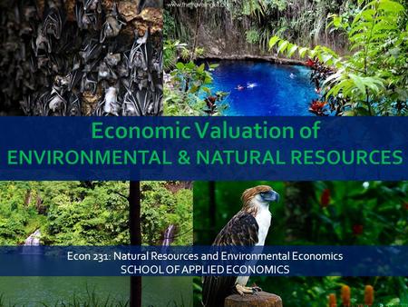 Econ 231: Natural Resources and Environmental Economics SCHOOL OF APPLIED ECONOMICS.
