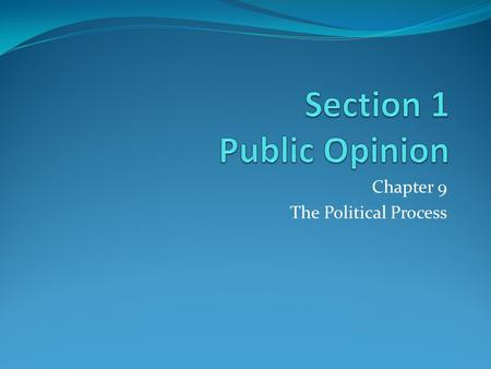Section 1 Public Opinion