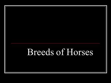 Breeds of Horses. Colors of Horses Bay Bay horses run from light reddish or tan shades to dark brown and mahogany/auburn shades. Bay horses always have.
