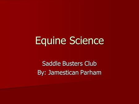 Saddle Busters Club By: Jamestican Parham