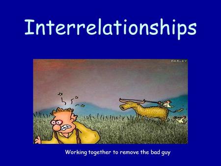 Interrelationships Working together to remove the bad guy.