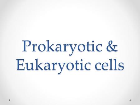 Prokaryotic & Eukaryotic cells. Cells of all living things are incredibly diverse.