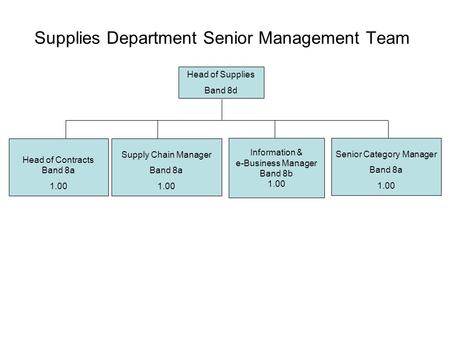 Supplies Department Senior Management Team Head of Supplies Band 8d Senior Category Manager Band 8a 1.00 Head of Contracts Band 8a 1.00 Information & e-Business.