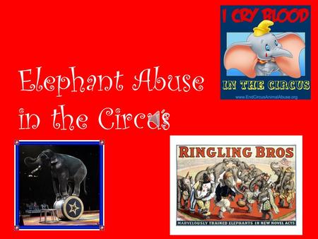 Elephant Abuse in the Circus Elephants are beaten with bullhooks that can rip and tear their skin leaving bloody wounds Bullhooks- rods that resemble.