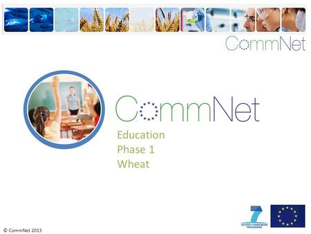 © CommNet 2013 Education Phase 1 Wheat. © CommNet 2013 Do you know what this is? Wheat Wheat is a type of grass.