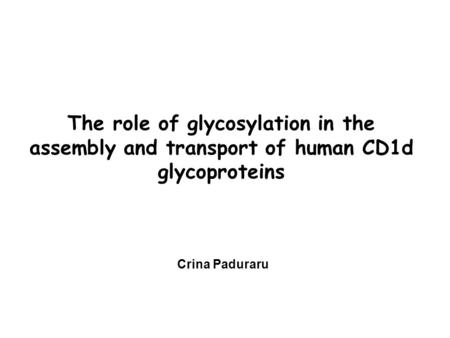 The role of glycosylation in the assembly and transport of human CD1d glycoproteins Crina Paduraru.