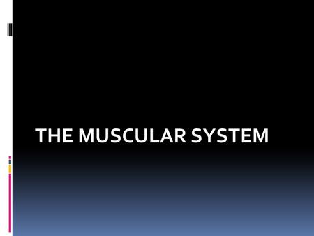 THE MUSCULAR SYSTEM. Introduction  Our bodies have over 600 muscles, which make up half of our body weight  Muscles are used to eat, talk, walk etc.