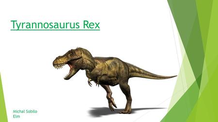 Tyrannosaurus Rex Michal Sobilo Elm. Some facts about the „T-Rex” „Tyrannosaurus” comes from the greek word meaning „tyrant lizard” and the word „rex”