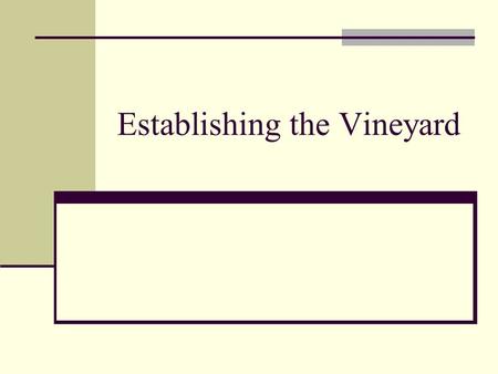 Establishing the Vineyard. Location Page 62 (Regions) Page 64-66 (Table 3) Climatic Factors – Temperatures & exposure, rainfall, & winds. Soil – Topography,
