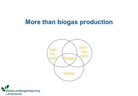 Dansk Landbrugsrådgivning Landscentret More than biogas production Biogas Envi- ron- ment Agri- cul- ture Energy.