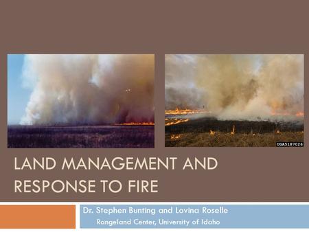 LAND MANAGEMENT AND RESPONSE TO FIRE Dr. Stephen Bunting and Lovina Roselle Rangeland Center, University of Idaho.