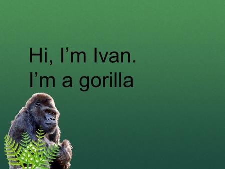 Hi, I’m Ivan. I’m a gorilla I live at the Exit 8 Big Top Mall and Video Arcade.