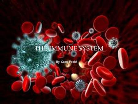 By: Caleb Patrick THE IMMUNE SYSTEM IMMUNE SYSTEM My organ system is the Immune System. The job of the immune system is to fight off diseases. Also it.