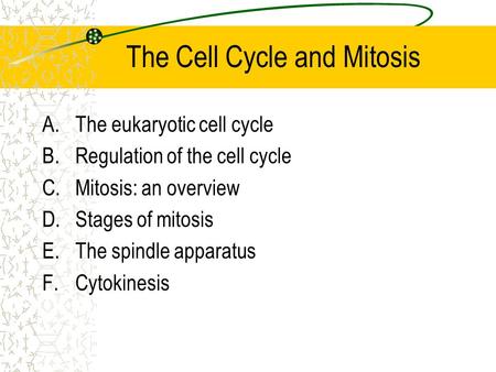 The Cell Cycle and Mitosis A.The eukaryotic cell cycle B.Regulation of the cell cycle C.Mitosis: an overview D.Stages of mitosis E.The spindle apparatus.