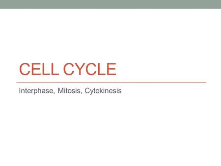 Interphase, Mitosis, Cytokinesis