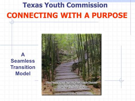 CONNECTING WITH A PURPOSE A Seamless Transition Model Texas Youth Commission.