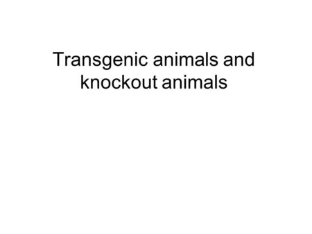 Transgenic animals and knockout animals