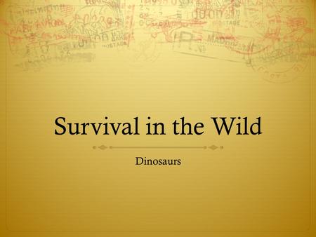 Survival in the Wild Dinosaurs. Dinosaur The word dinosaur comes from the Greek language and means ‘terrible lizard’. The word was coined by English paleontologist.