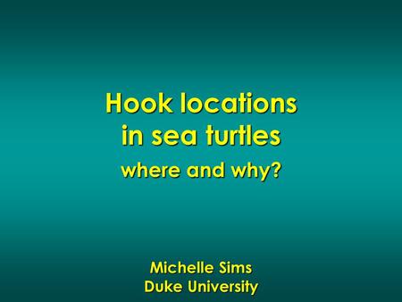 Hook locations in sea turtles where and why? Michelle Sims Duke University.