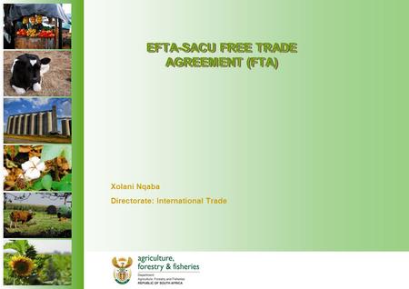 EFTA-SACU FREE TRADE AGREEMENT (FTA) Xolani Nqaba Directorate: International Trade.