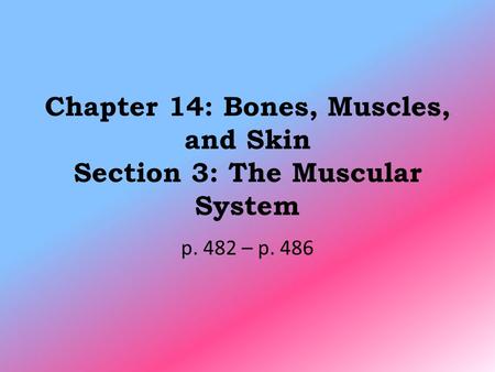 Chapter 14: Bones, Muscles, and Skin Section 3: The Muscular System