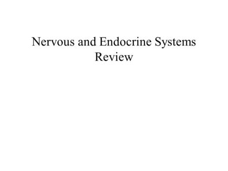 Nervous and Endocrine Systems Review