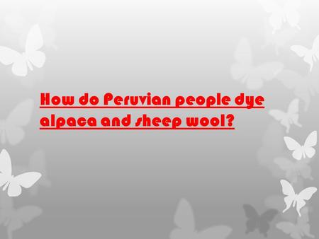 How do Peruvian people dye alpaca and sheep wool?.