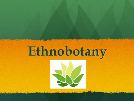 Ethnobotany. What is Ethnobotany? The term ethnobotany is derived from the terms “ethnology,” the study of culture, and “botany, the study of plants.”