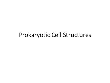Prokaryotic Cell Structures. Pseudopod – For movement and manipulation – Made of an extension of the cell membrane – Looks like a bulge or tentacle or.