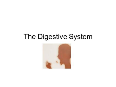 The Digestive System. Diagram of the digestive system.