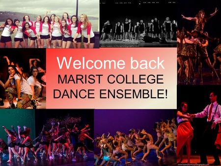 Welcome back MARIST COLLEGE DANCE ENSEMBLE!. When and where is the show? November 23 rd at 4:30pm, November 24 th at 2:oopm Show will be at Poughkeepsie.
