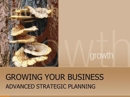 GROWING YOUR BUSINESS ADVANCED STRATEGIC PLANNING.
