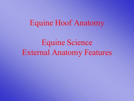 Equine Hoof Anatomy Equine Science External Anatomy Features