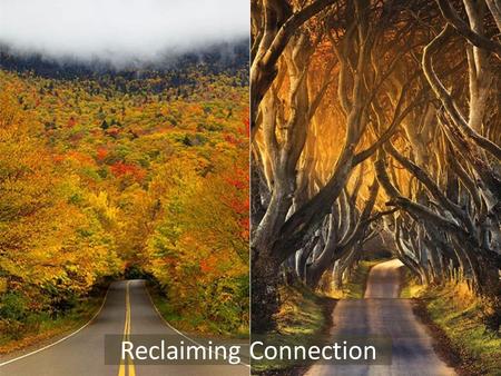 Reclaiming Connection. An experiment on connection Can our positive thoughts/feelings influence the environment a quantum level (and perhaps be a force.
