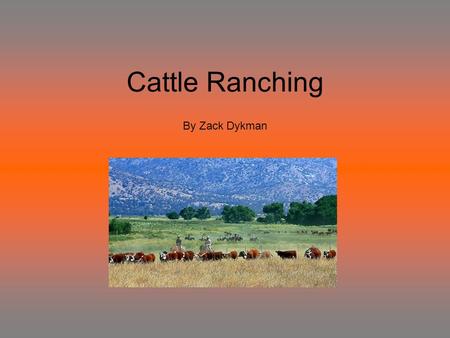 Cattle Ranching By Zack Dykman. Cattle ranching was growing greatly from 1860 – 1910. Cattle ranch was very hard work. This job is very time-consuming.