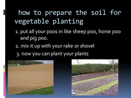 How to prepare the soil for vegetable planting 1. put all your poos in like sheep poo, horse poo and pig poo. 2. mix it up with your rake or shovel 3.